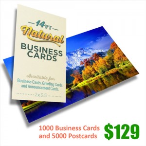 Business cards and Postcards